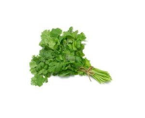 Петрушка свежая пучок