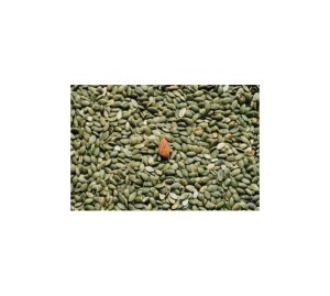 Семена тыквы вес 1 кг