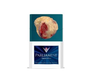 Сигареты PARLIAMENT NIGHT BLUE