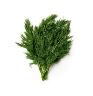 Укроп свежий пучок